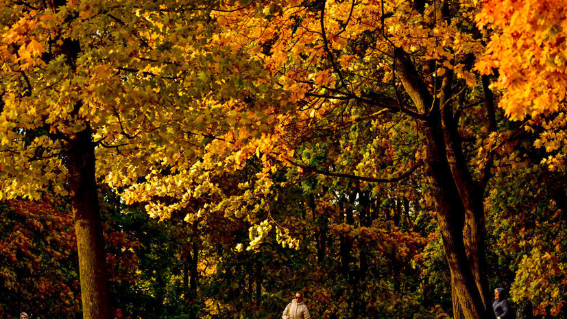 Синоптик Шувалов: осень пока притормаживает