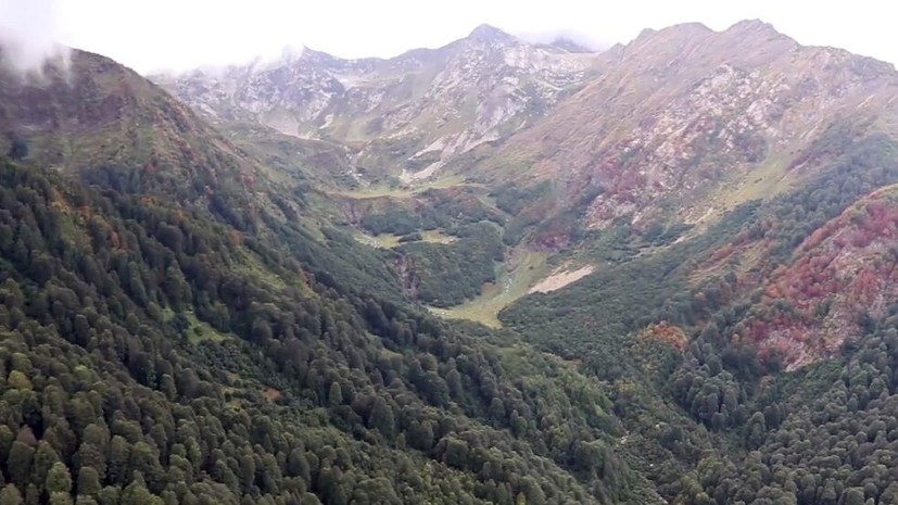 Депутат заксобрания Красноярского края: следов пропавшей семьи до сих пор нет