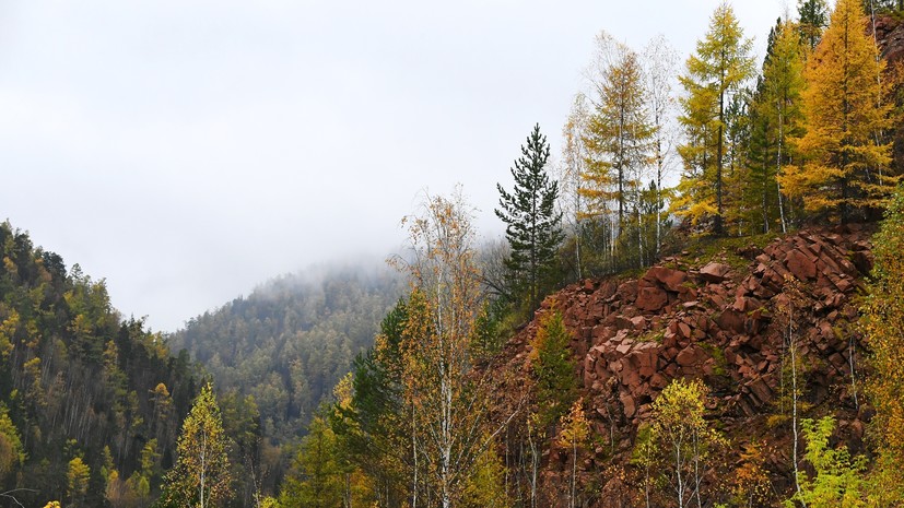 Спасатель Халилов оценил шансы выжить у семьи, которая потерялась в тайге