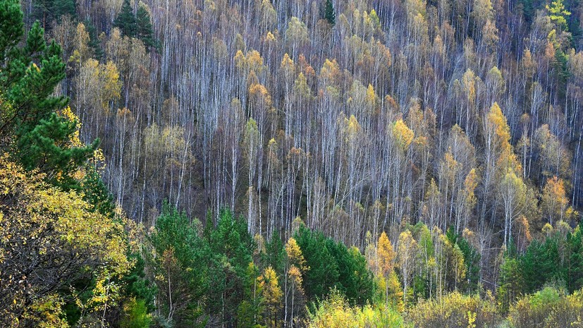 Поиски пропавшей под Красноярском семьи осложнились из-за погоды