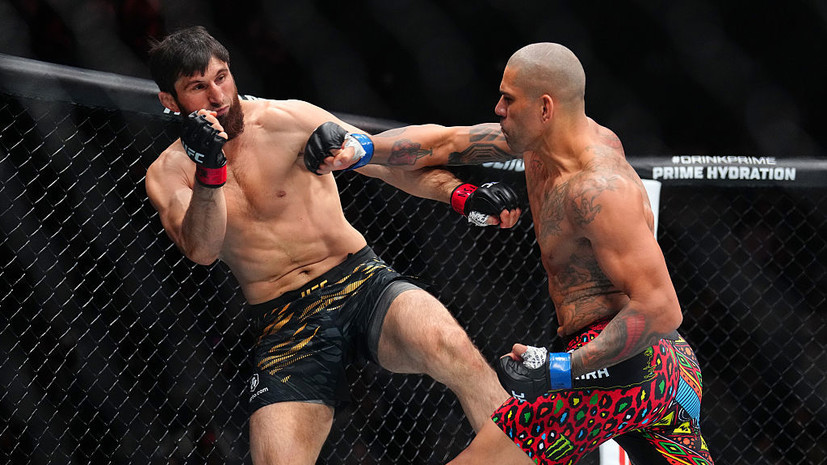 Абдель-Азиз: Анкалаеву не стоило драться на UFC 320