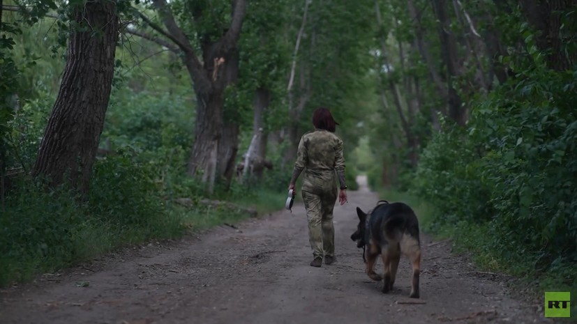 В Кургане пройдёт фестиваль документального кино «RТ.Док: Время наших героев»