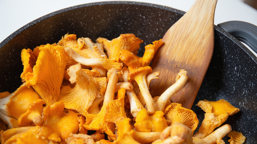 Химик Белкин назвал белые грибы и лисички самыми полезными