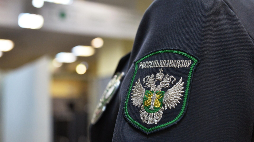 В Петербурге Россельхознадзор закрыл антикафе с капибарами из-за нарушений