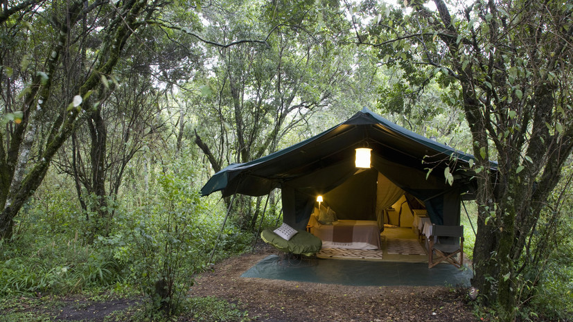 В Татарстане положительно оценили планы по введению ГОСТа для глэмпингов