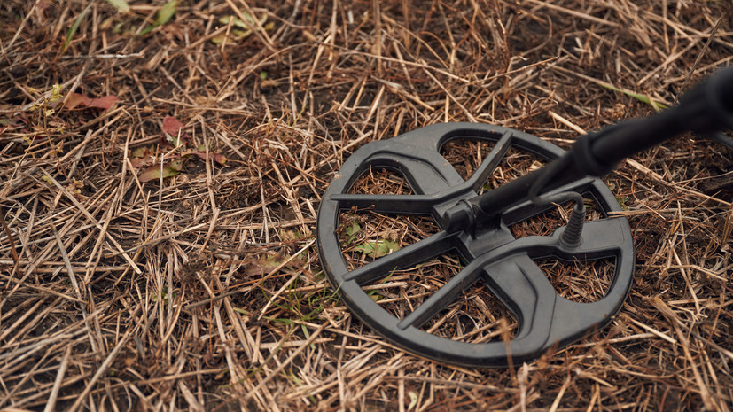 Глава МВД Словакии Шутай-Эшток: Братислава поможет Киеву с разминированием