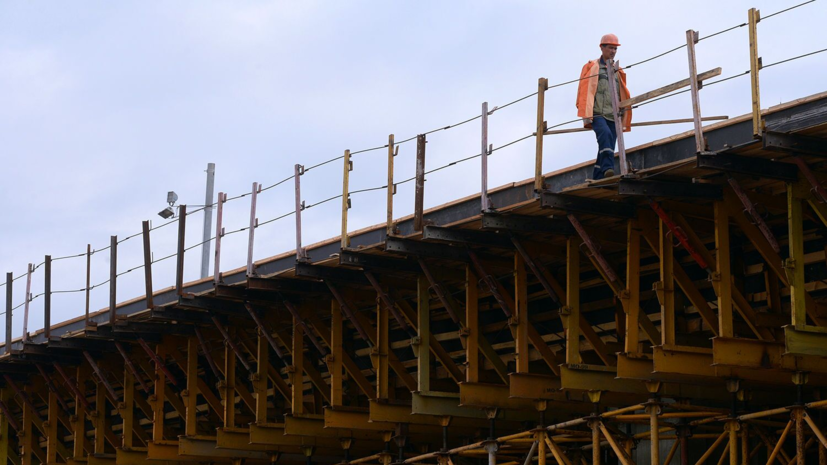 Движение по новому путепроводу в Пушкинском округе запустят в ноябре