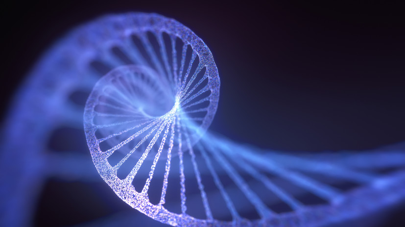 Специалист Суркова посоветовала составлять план похудения после анализа ДНК