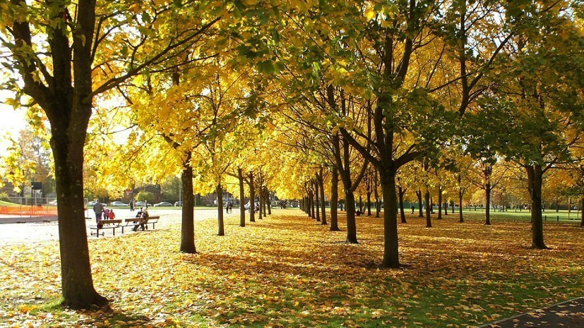 Метеоролог Ткаченко: на Кубани ожидается тёплая погода с небольшими осадками