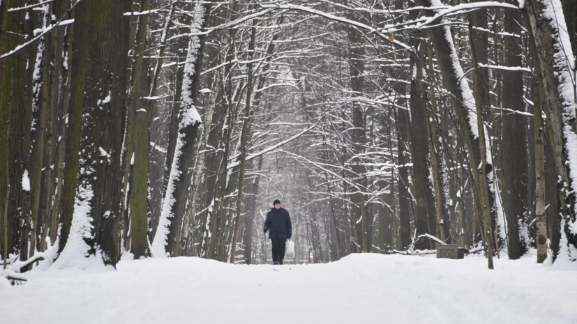 Синоптик Позднякова посоветовала не ждать раннего предзимья в Москве