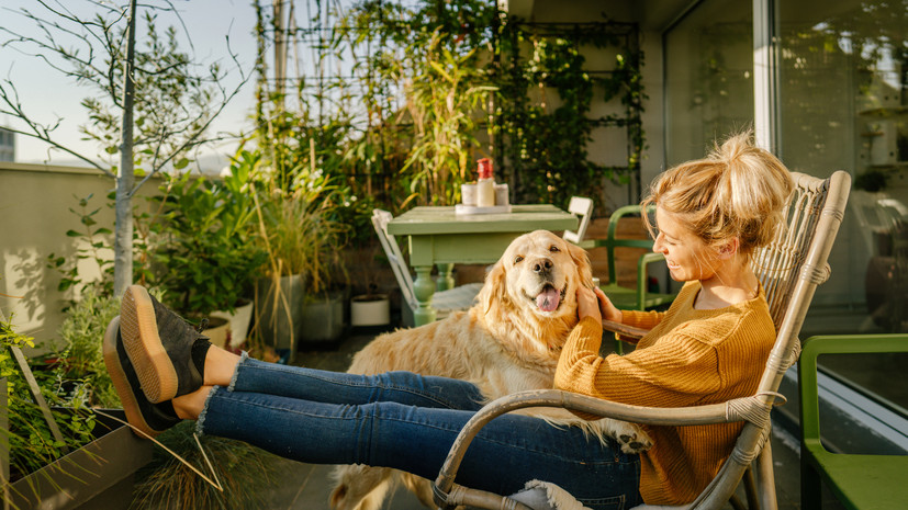 Агроном Туманов: в условиях квартиры можно вырастить даже ананас