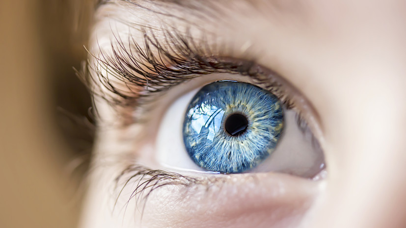 Офтальмолог Голубева: здоровье глаз поддержат тыква и шпинат