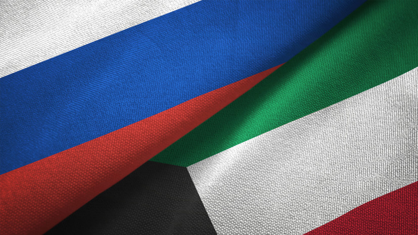 ГД ратифицировала соглашение между Россией и Кувейтом о выдаче преступников