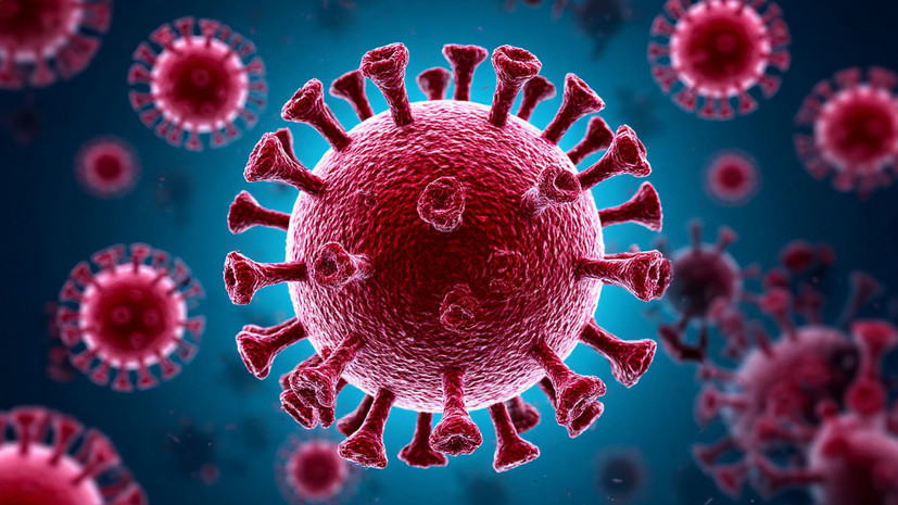 Врач Зорина рассказала, как лечится лихорадка чикунгунья