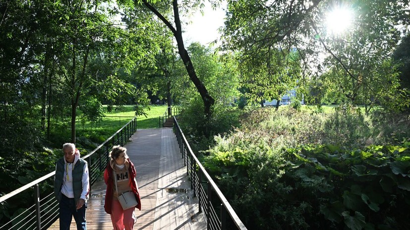 Синоптик Позднякова: относительно тёплая погода в Москве продержится до 10 октября