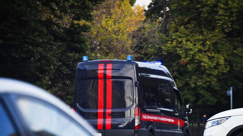 В Свердловской области проводят проверку по факту избиения девочки группой подростков