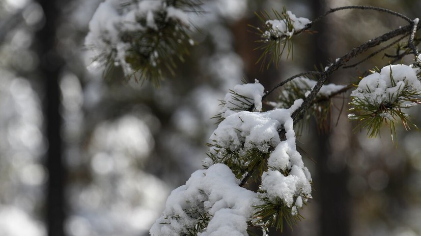 Синоптик Шувалов: от первого снега до установления снежного покрова проходит месяц