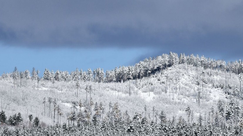 Вильфанд сообщил, что снегом покрыто уже около 60% территории России