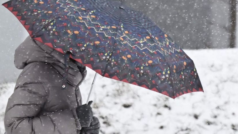 Синоптик Позднякова: в ближайшие дни в Москве возможен мокрый снег