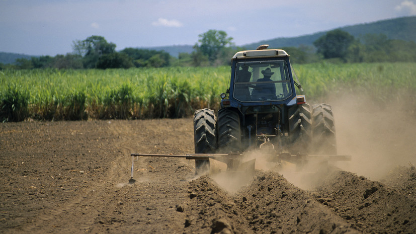 Татарстан экспортировал в Индию продукцию АПК на $109 млн в 2024 году
