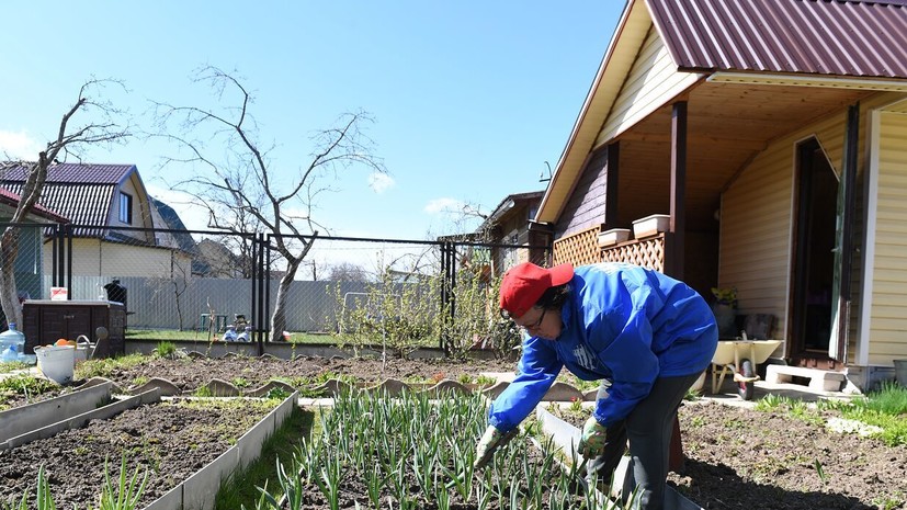 Агроном Воробьёв рассказал, что можно сажать осенью