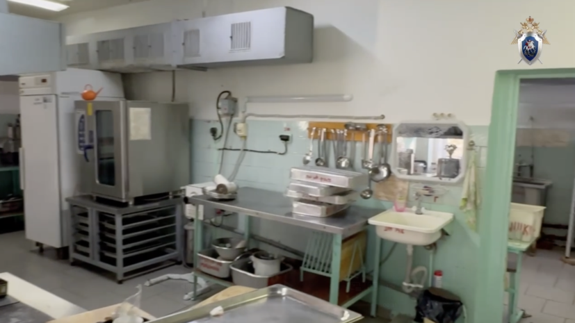 В челябинском Минздраве рассказали о состоянии отравившихся в Трёхгорном детей