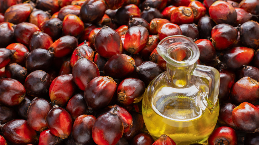 Диетолог Кабанов: пальмовое масло содержит большое количество насыщенных жиров