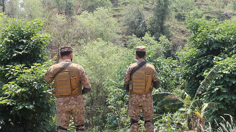 TOLO: «Талибан» объявил об «успешном» завершении операции против Пакистана