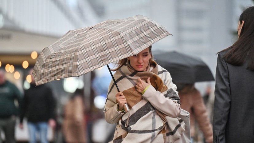 Синоптик Леус спрогнозировал дожди и мокрый снег в Москве