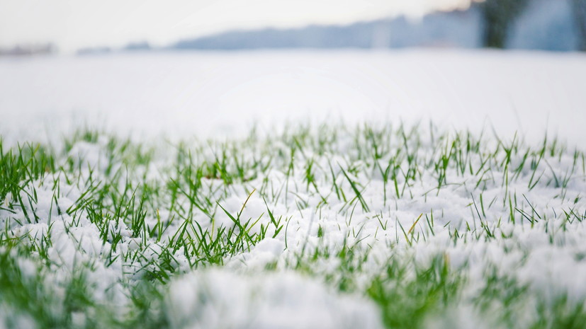 В Москве выпал первый снег