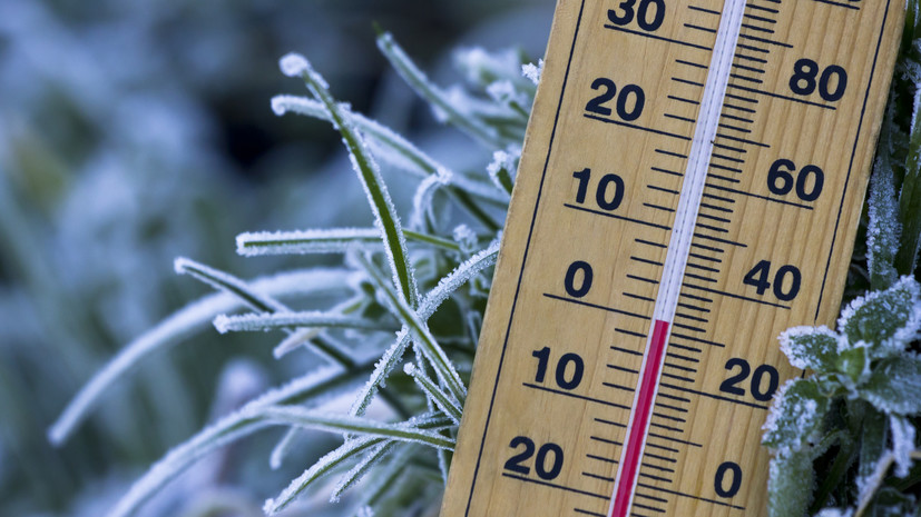 Синоптик Позднякова: температура в Московской области может опускаться до 0