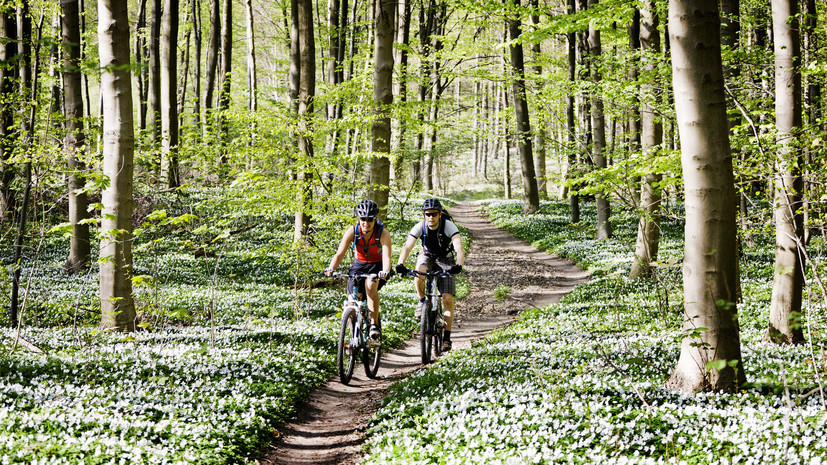 Психолог Зязина назвала вредными долгие велопрогулки без подготовки при стрессе