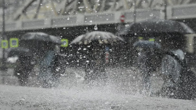 Синоптик Тишковец: 80% месячной нормы осадков выпало местами в Подмосковье