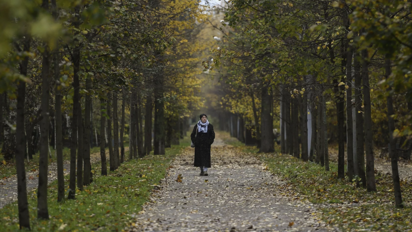 Вильфанд: 15 октября в Москве станет самым холодным днём на этой неделе