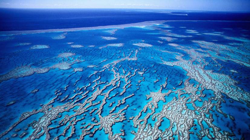 Климатолог Кислов прокомментировал сообщения о достижении Землёй точки невозврата