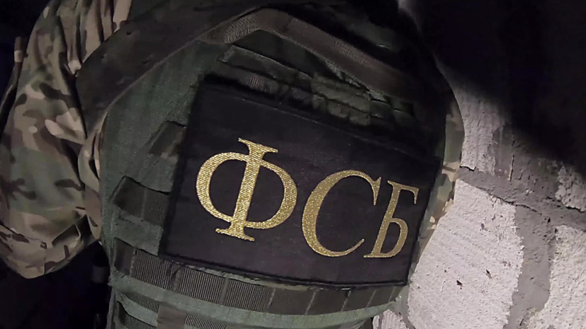 ФСБ: жительницу Донецка задержали за передачу СБУ данных о машинах чиновников