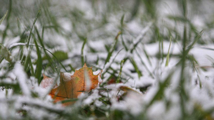 «Тепло уже не вернётся»: синоптики заявили о наступлении предзимья на большей части России