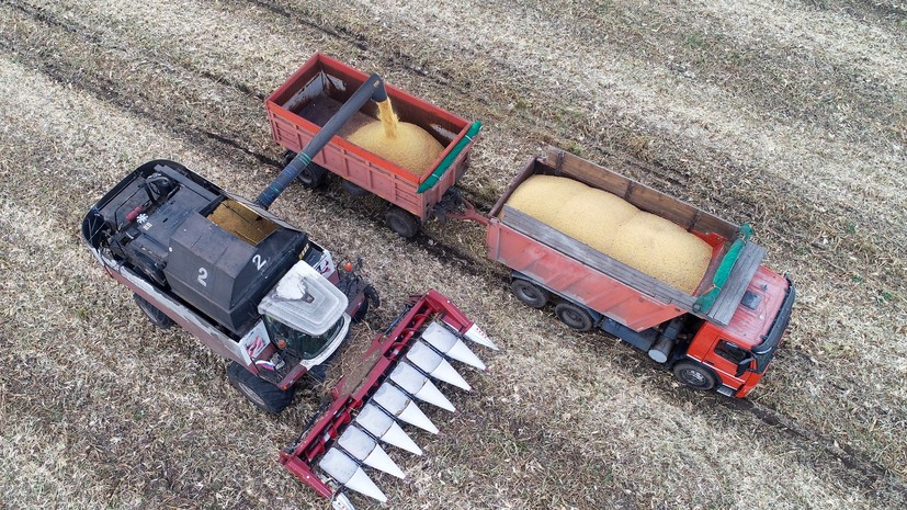 Путин назвал хорошим результатом урожай зерновых в 132 млн тонн