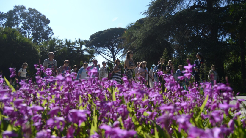 Юрист Русяев объяснил сокращение майских праздников в 2026 году