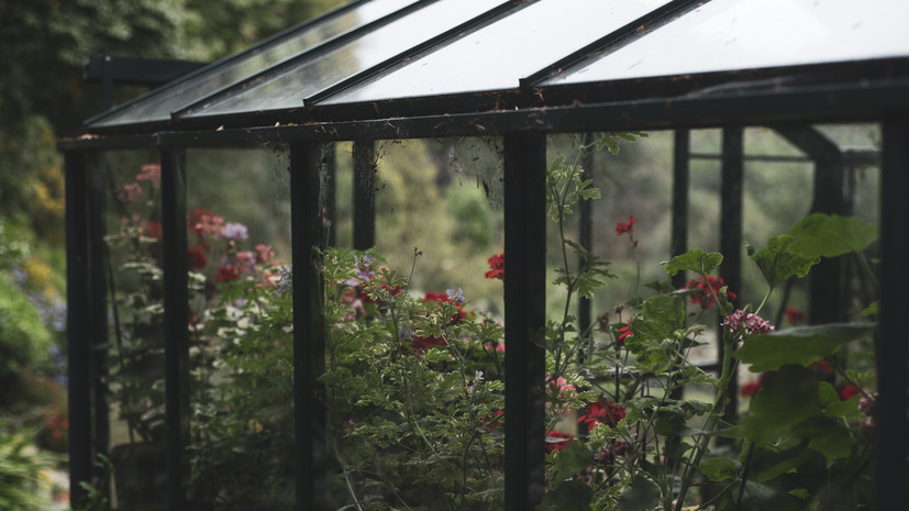 Агроном Круглова рассказала, как обработать теплицу после уборки урожая