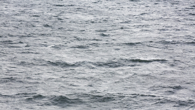 В Новосибирске двое одиннадцатилетних детей утонули в водоёме