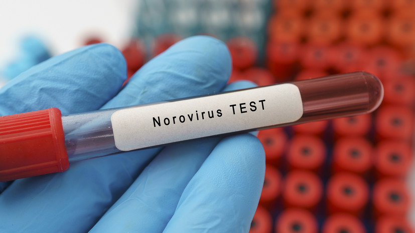 Роспотребнадзор: норовирус стал причиной заболевания учеников школы в Арзамасе