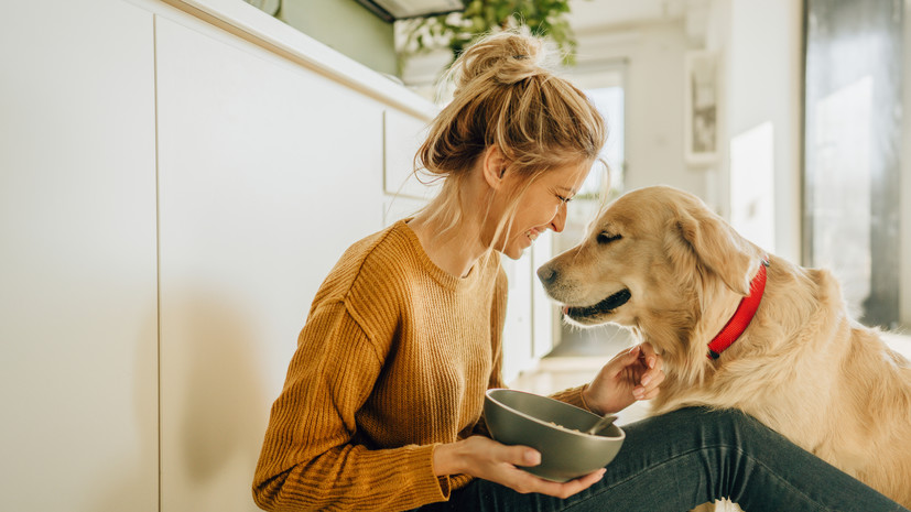 Кинолог Голубев рассказал, как сделать квартиру безопасной для собаки