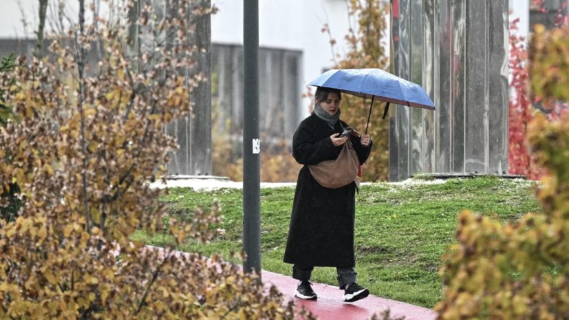 Синоптик Позднякова: к концу недели в Москве ожидаются более интенсивные дожди