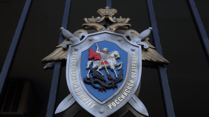 Фигуранты дела о покушении на Симоньян согласились на преступление за $50 тысяч