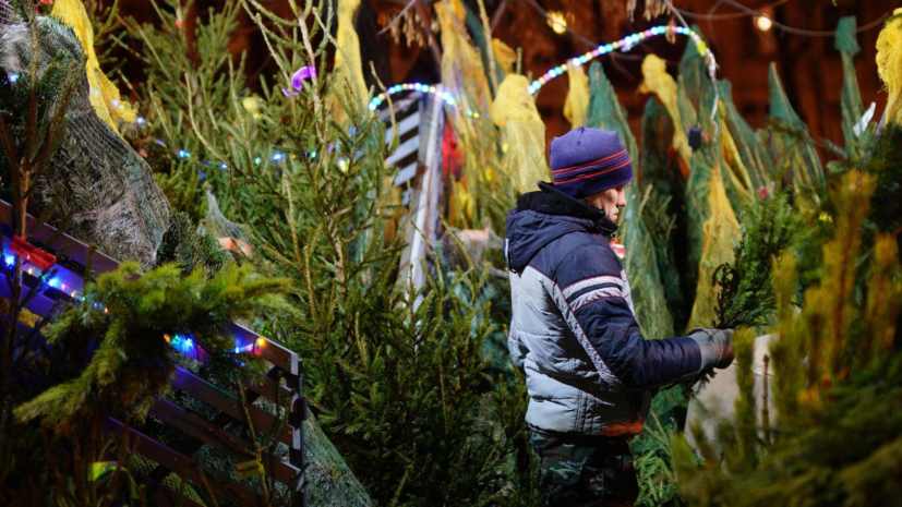 Новогодние ёлочные базары откроются в Кургане с 15 декабря