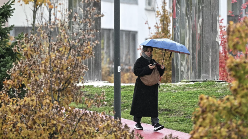 Синоптик Ильин: тёплый атмосферный фронт принесёт в Москву дожди