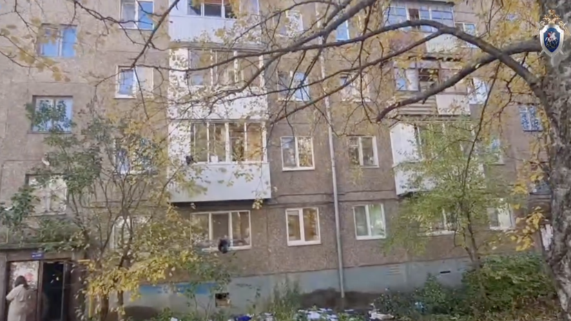 Выброшенная отцом из окна в Башкирии трёхлетняя девочка пошла на поправку