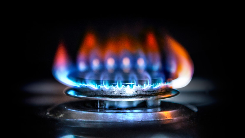 Вагенкнехт: цены на газ в ФРГ с 2021 года выросли на 77%