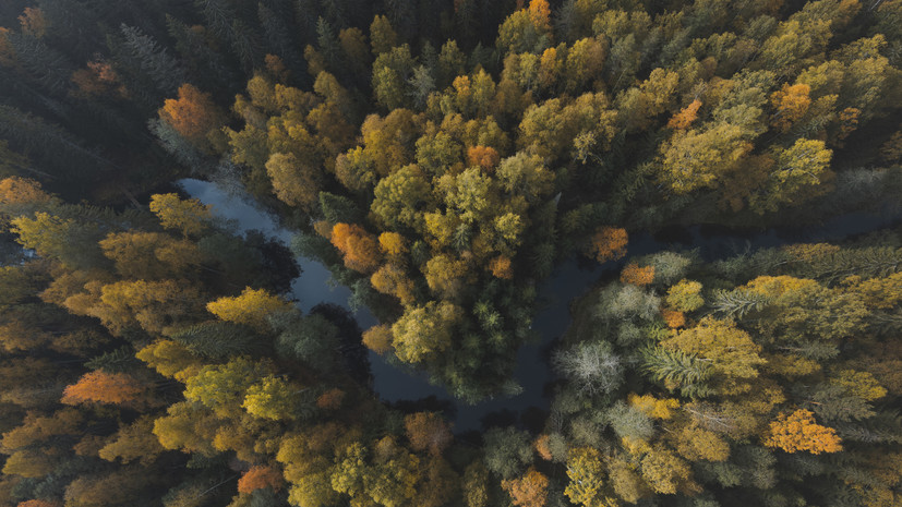 Источник RT заявил об отсутствии данных, что семья Усольцевых покинула страну